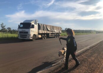 Dracco apreende cocaína avaliada em R$ 60 milhões destinada ao tráfico transnacional