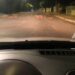 Vídeo: Leitor flagra capivaras saindo de bar de madrugada e fica com inveja na Capital