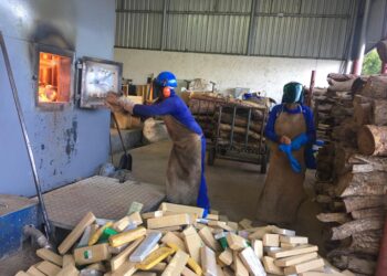 Polícia Civil incinera mais de 1 tonelada de drogas em Terenos