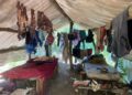 Trabalhadores paraguaios são resgatados em condições análogas à escravidão em fazenda de MS