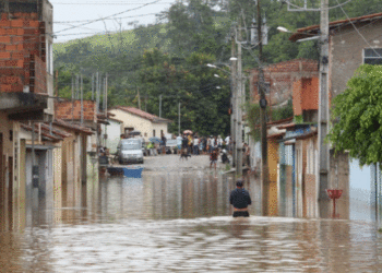 Entenda sobre os desastres naturais que marcaram o início de 2022