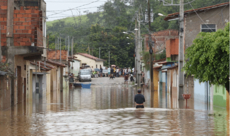 Entenda sobre os desastres naturais que marcaram o início de 2022