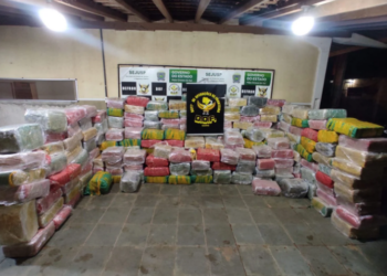 Mais de cinco toneladas de maconha foram apreendidas pelo DOF em Dourados