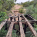 Destruídas pelo tempo, pontes de madeira são substituídas por estruturas de concreto em MS
