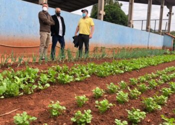 “É pequena, mas precisava”: Rochedinho recebe posto para atendimento a produtores rurais