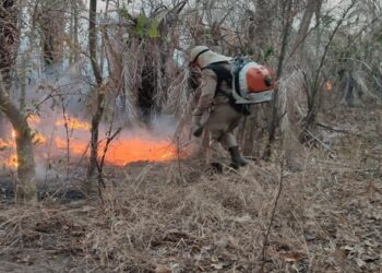 Ministério do Meio Ambiente declara Mato Grosso do Sul como estado de emergência ambiental