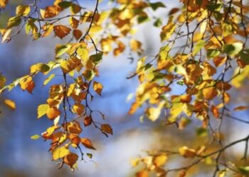 Outono terá menos chuva que o normal para a estação e frio sem extremos