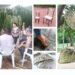 Curso do Senar/MS ensina como transformar folhas de Taboa em peças artesanais.