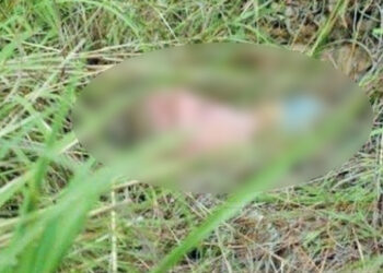 Corpo de homem só de cueca é encontrado por trabalhador em matagal na Capital