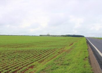 Inédito no Brasil, AGEMS e Way-306 entregam primeiros benefícios do projeto Fazenda Corredor