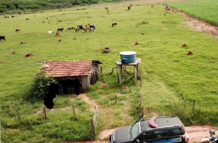Suspeito por furtar 15 cabeças de gado é identificado e polícia recupera R$ 30 mil “em boi”