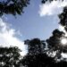 Com leve elevação da temperatura, quarta-feira segue com tempo seco e baixa umidade relativa do ar