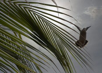 Semana de páscoa terá nova frente fria com chuvas e temperaturas amenas