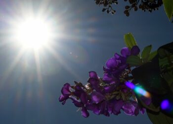 Final de semana de sol e tempo seco em Mato Grosso do Sul