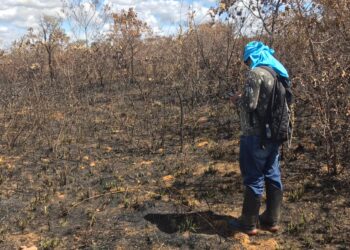 Georreferenciamento é aposta para potencializar autonomia em Território Kadiwéu