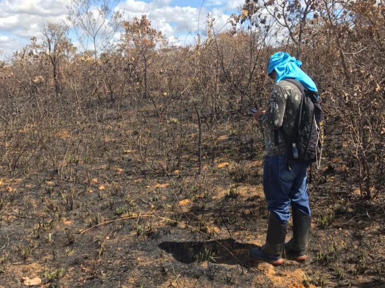 Georreferenciamento é aposta para potencializar autonomia em Território Kadiwéu