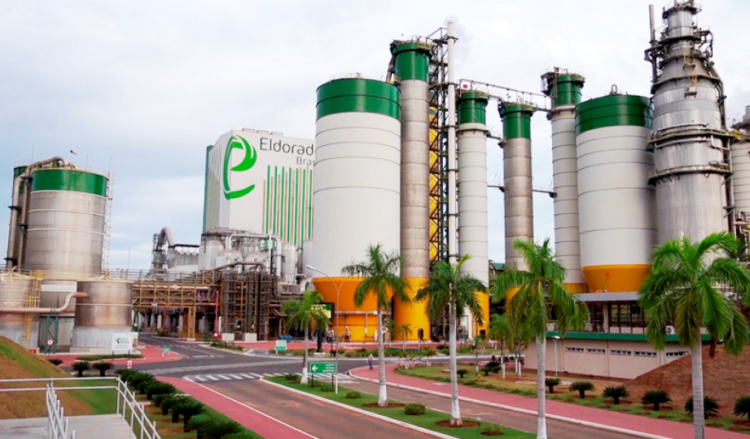 Eldorado Brasil inicia nova parceria para desenvolvimento econômico no Mato Grosso do Sul