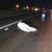 Idoso é atropelado na BR-163 em Campo Grande, morre e motorista foge
