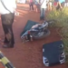 Mulher é assassinada a golpes de faca em cima de moto e suspeita é de latrocínio