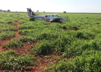 Polícia encontra piloto de aeronave com drogas e fuzis escondido em fazenda