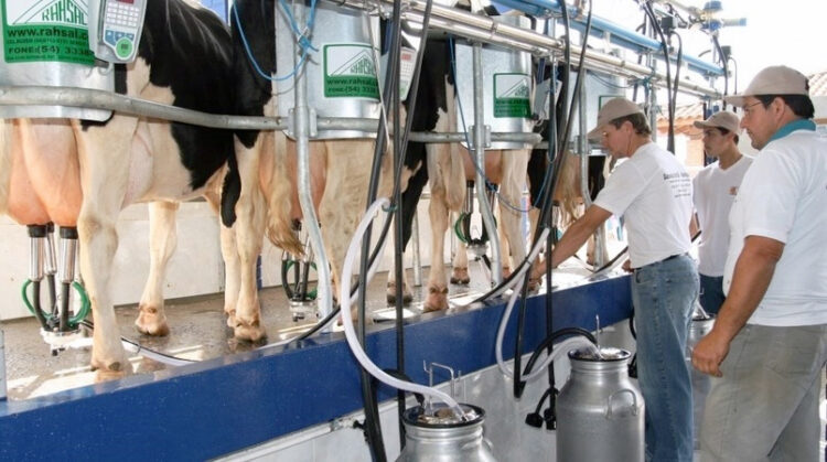 Dentre as muitas riquezas que vêm do agro, o leite é um dos que mais gera empregos