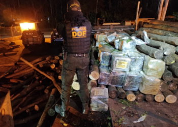 DOF prende homem transportando R$ 7 milhões em maconha no meio de carga de madeira