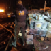 DOF prende homem transportando R$ 7 milhões em maconha no meio de carga de madeira