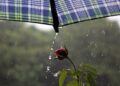 Terça-feira tem previsão de chuva em diferentes regiões do Estado