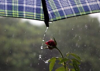 Terça-feira tem previsão de chuva em diferentes regiões do Estado