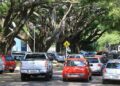 Maio amarelo começa com índice crescente de motoristas ao celular