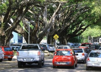 Maio amarelo começa com índice crescente de motoristas ao celular