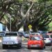 Maio amarelo começa com índice crescente de motoristas ao celular