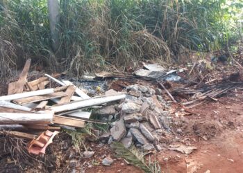 Queima de madeira velha e “lixões” preocupam moradores no Jardim Mansur na Capital