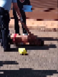 Vídeo: Morto no Aero Rancho estava em festa e foi atraído por dupla até o local do crime