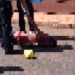 Vídeo: Morto no Aero Rancho estava em festa e foi atraído por dupla até o local do crime