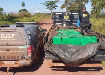 DOF prende condutor de caminhão transportando quase R$ 4 milhões em maconha