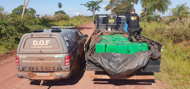 DOF prende condutor de caminhão transportando quase R$ 4 milhões em maconha