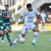 Palmeiras vence Santos e assume ponta provisória do Brasileirão