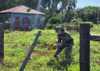 A 40 Km da Capital, policiais resgatam arara-canindé com asa quebrada
