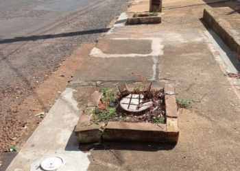 Pintor é autuado por cortar 2 árvores em frente de casa, após denúncia de vizinhos