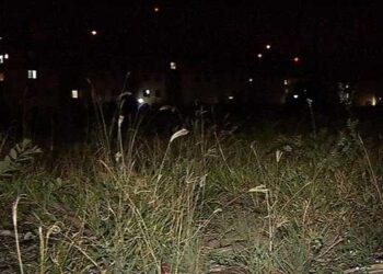 Menino de 13 anos sofre tentativa de estupro em matagal do Bairro Noroeste na Capital