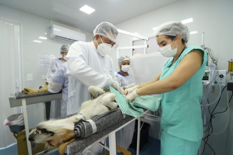 Destinado por Marcio Fernandes, Castramóvel realiza ações em bairros e presídio