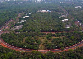 Com ação de plantio de mudas, Parque dos Poderes terá nova interdição neste sábado