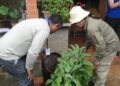 Com ações estratégicas, Capital zera o número de áreas em alto risco para infestação do Aedes