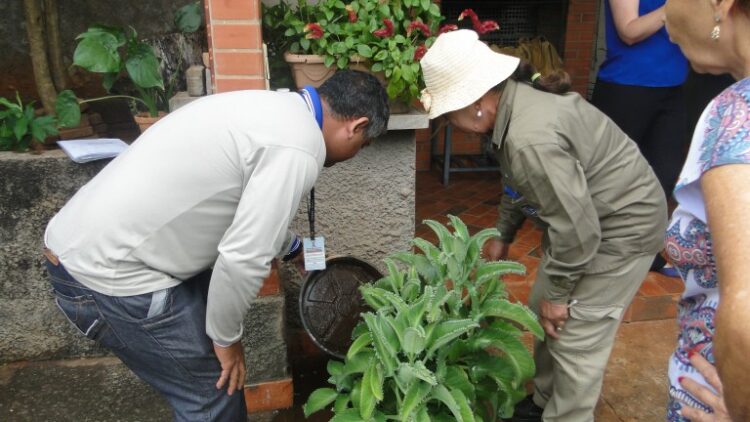 Com ações estratégicas, Capital zera o número de áreas em alto risco para infestação do Aedes
