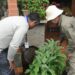 Com ações estratégicas, Capital zera o número de áreas em alto risco para infestação do Aedes