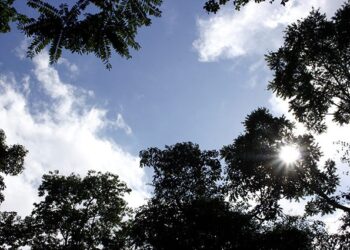 Quinta-feira com previsão de chuva na região sul e tempo firme no restante de MS