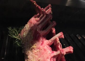 Do nascimento ao abate: cuidados elevam a qualidade da carne de cordeiro e trazem suculência à mesa