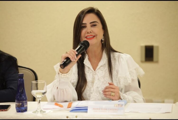 Deputada Mara Caseiro solicita retroescavadeira para recuperação de ruas de Terenos