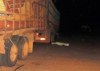 Homem em bicicleta morre atropelado por caminhão boiadeiro na MS-352 em Terenos